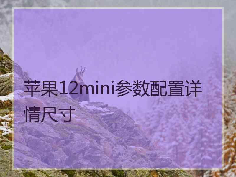 苹果12mini参数配置详情尺寸