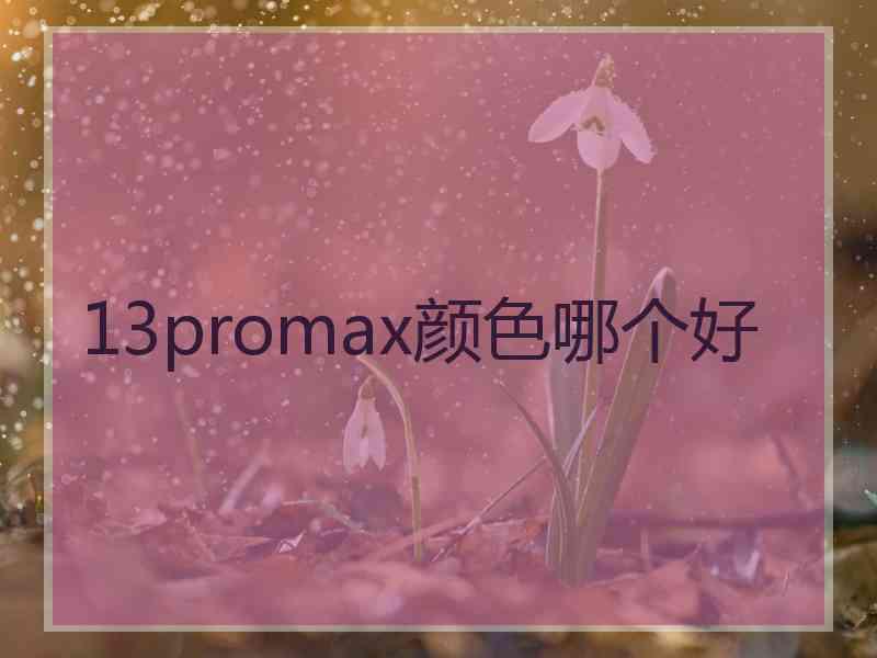 13promax颜色哪个好