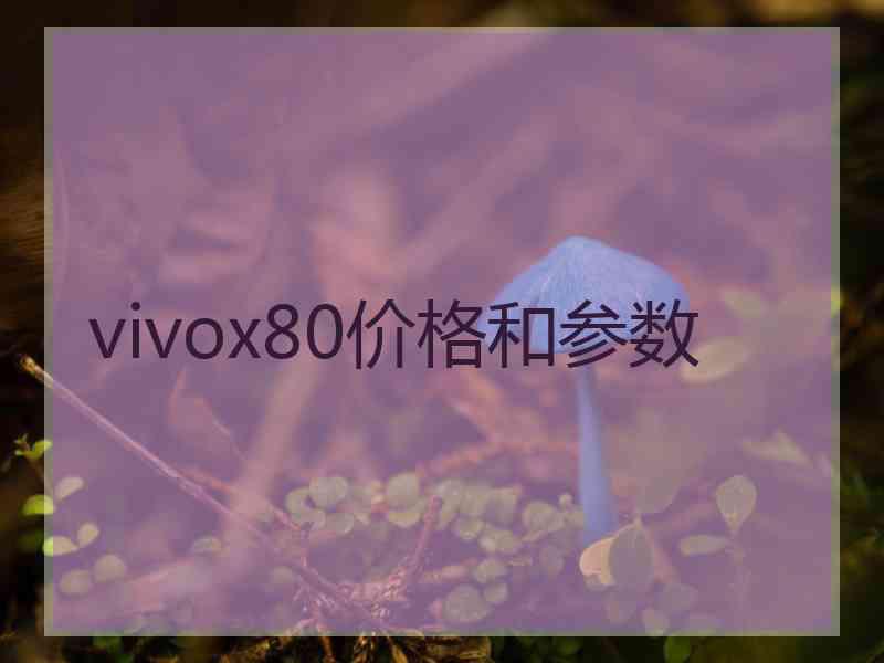 vivox80价格和参数