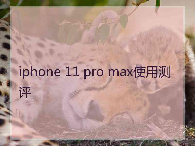 iphone 11 pro max使用测评