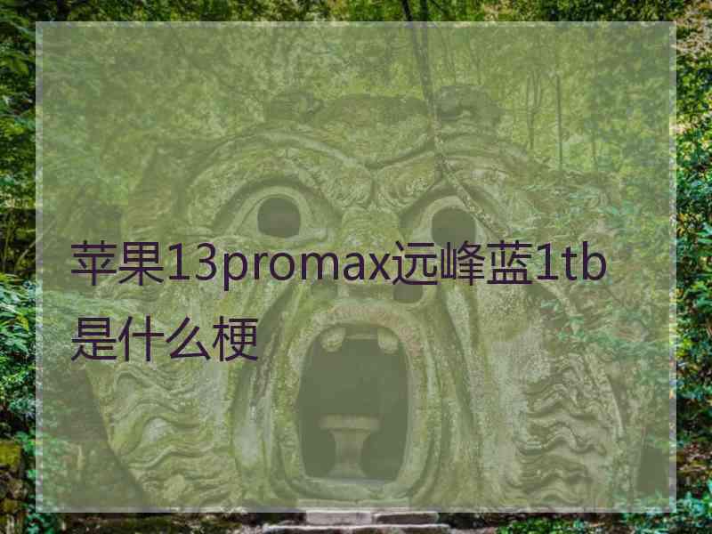 苹果13promax远峰蓝1tb是什么梗