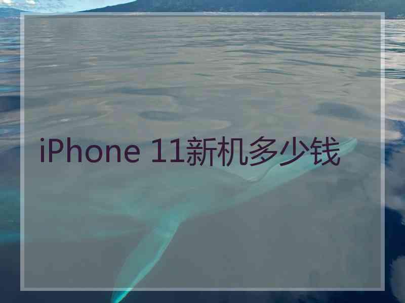 iPhone 11新机多少钱