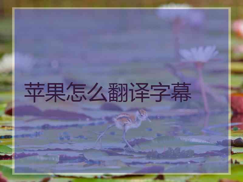 苹果怎么翻译字幕