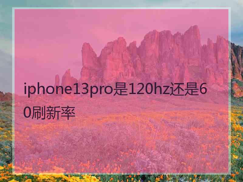 iphone13pro是120hz还是60刷新率