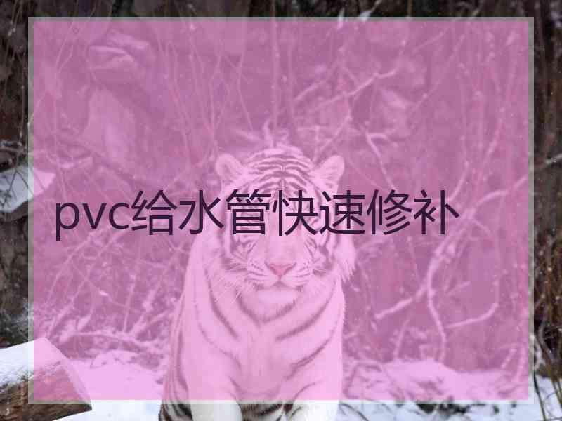 pvc给水管快速修补