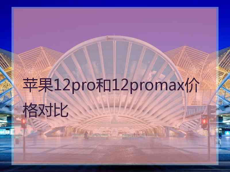 苹果12pro和12promax价格对比