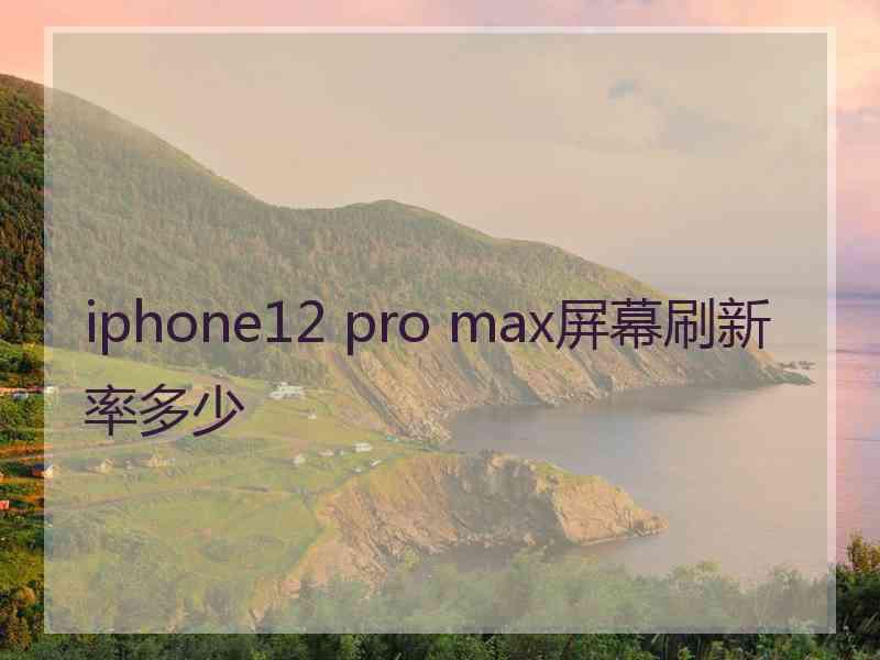 iphone12 pro max屏幕刷新率多少