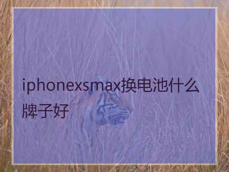 iphonexsmax换电池什么牌子好