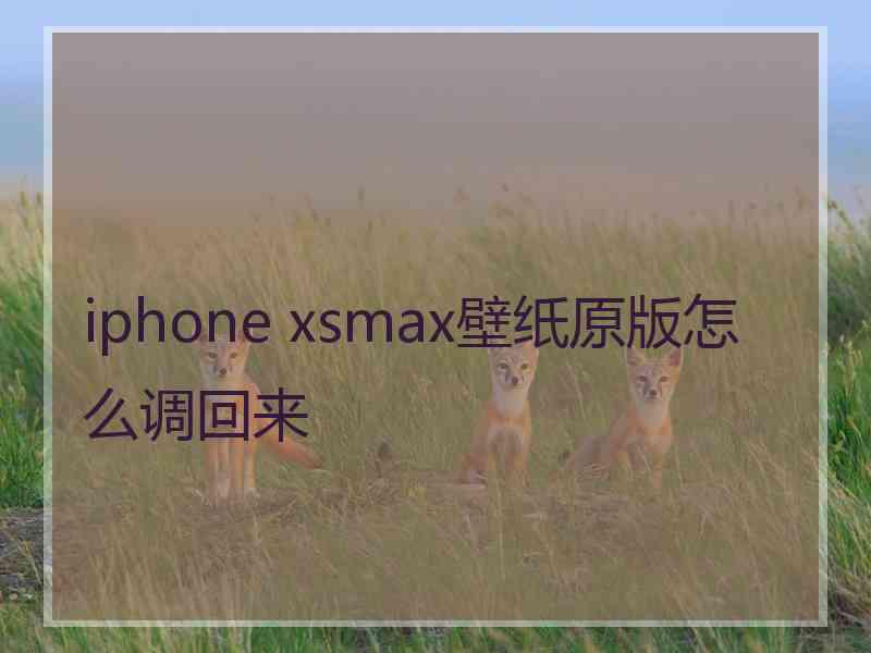 iphone xsmax壁纸原版怎么调回来