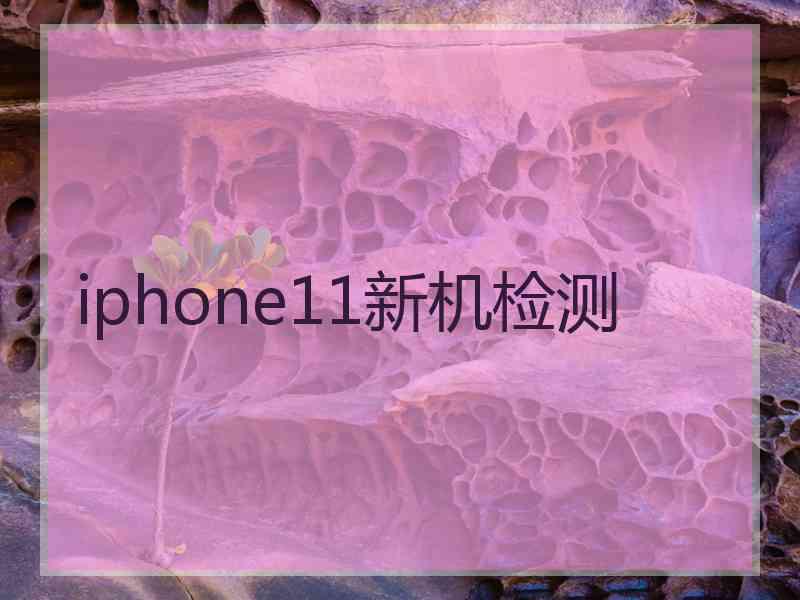 iphone11新机检测