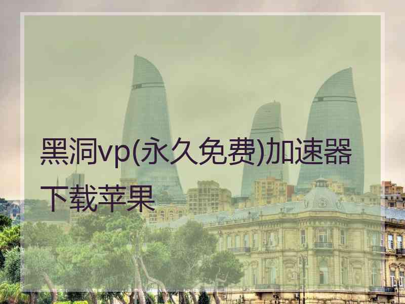 黑洞vp(永久免费)加速器下载苹果