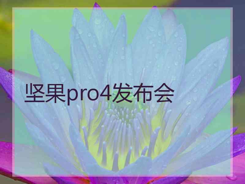 坚果pro4发布会