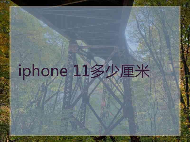 iphone 11多少厘米