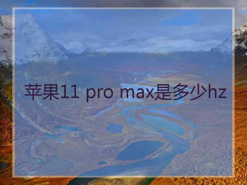 苹果11 pro max是多少hz