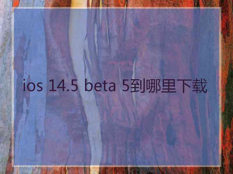 ios 14.5 beta 5到哪里下载