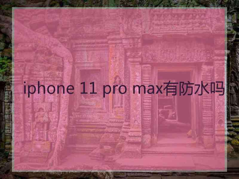 iphone 11 pro max有防水吗