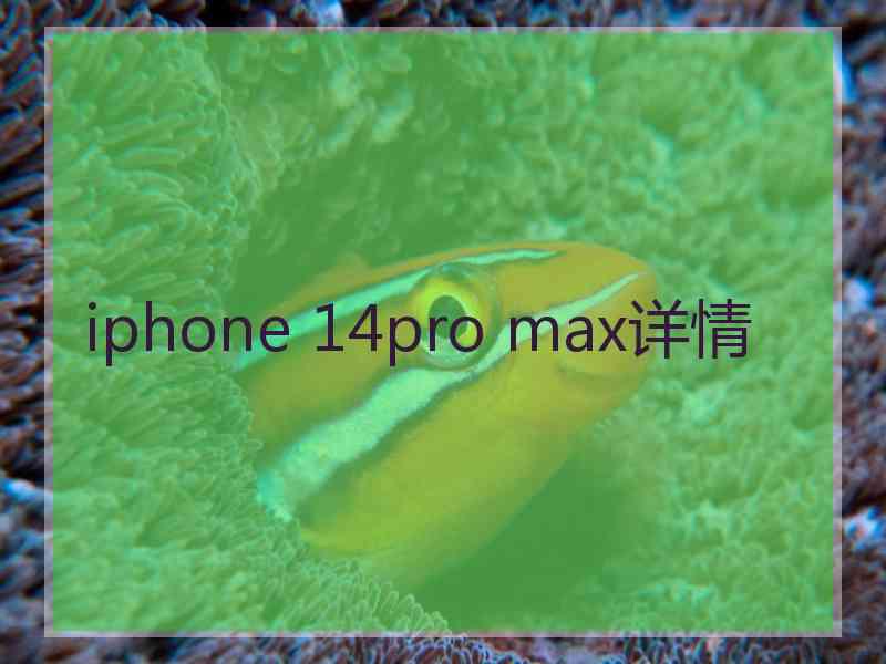 iphone 14pro max详情