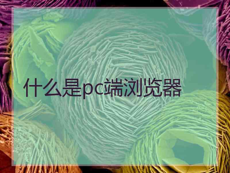 什么是pc端浏览器