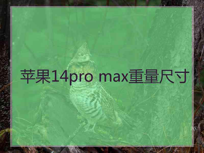 苹果14pro max重量尺寸