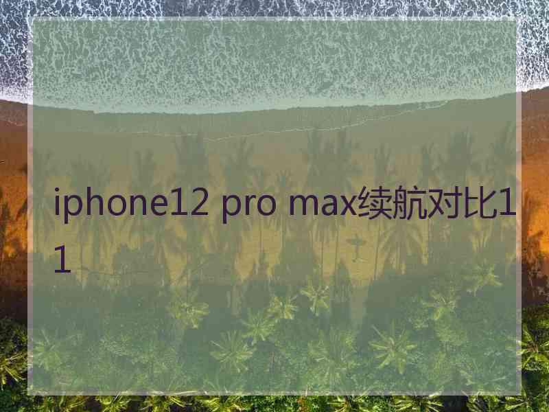 iphone12 pro max续航对比11