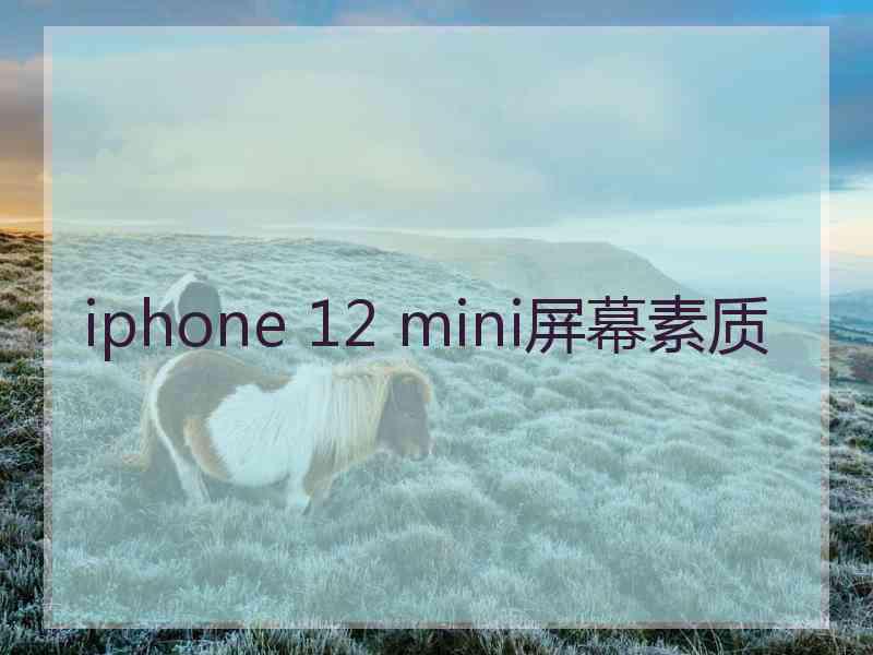 iphone 12 mini屏幕素质