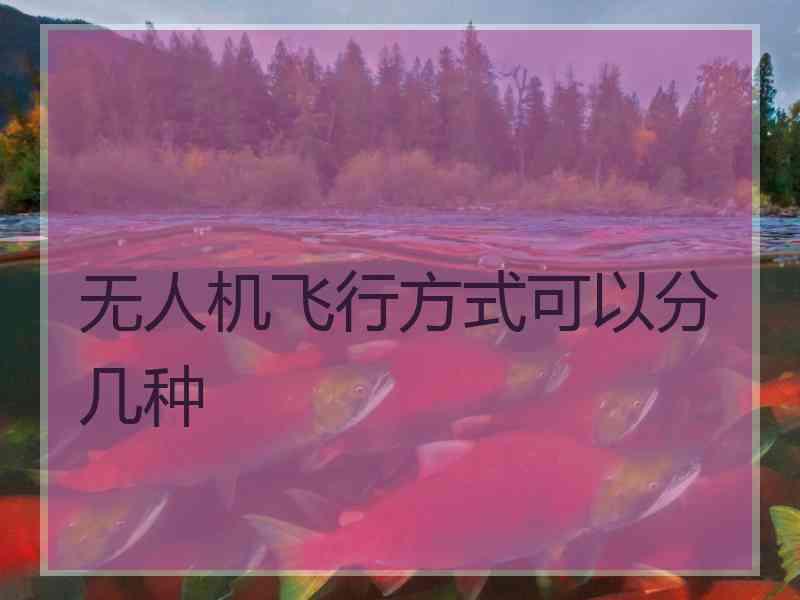 无人机飞行方式可以分几种