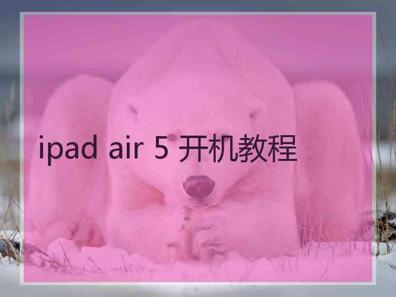 ipad air 5 开机教程