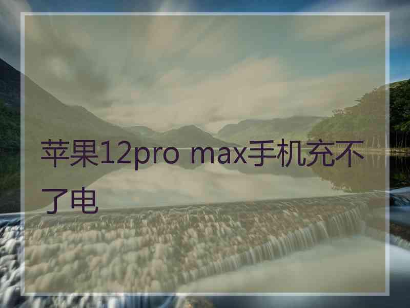 苹果12pro max手机充不了电