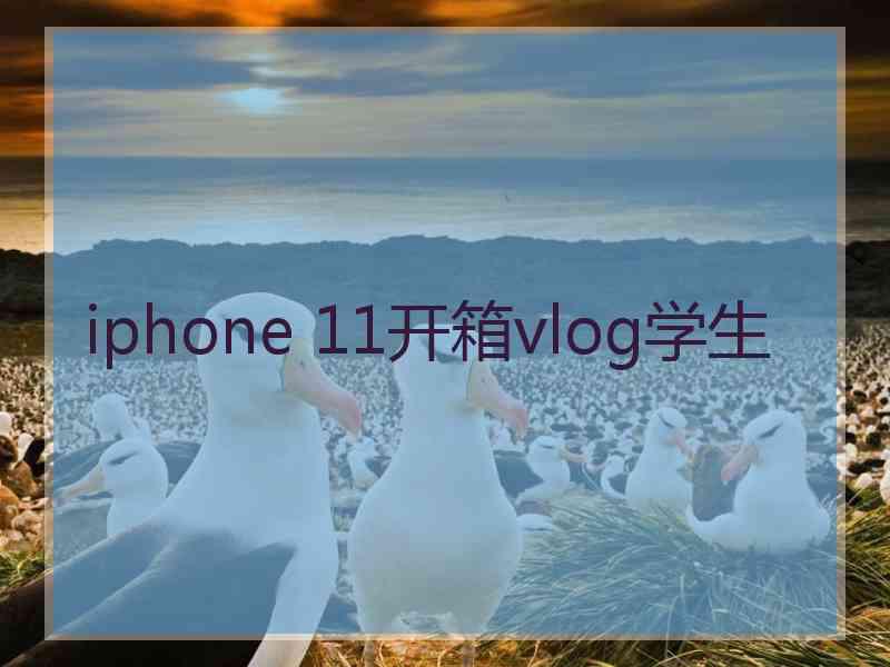 iphone 11开箱vlog学生