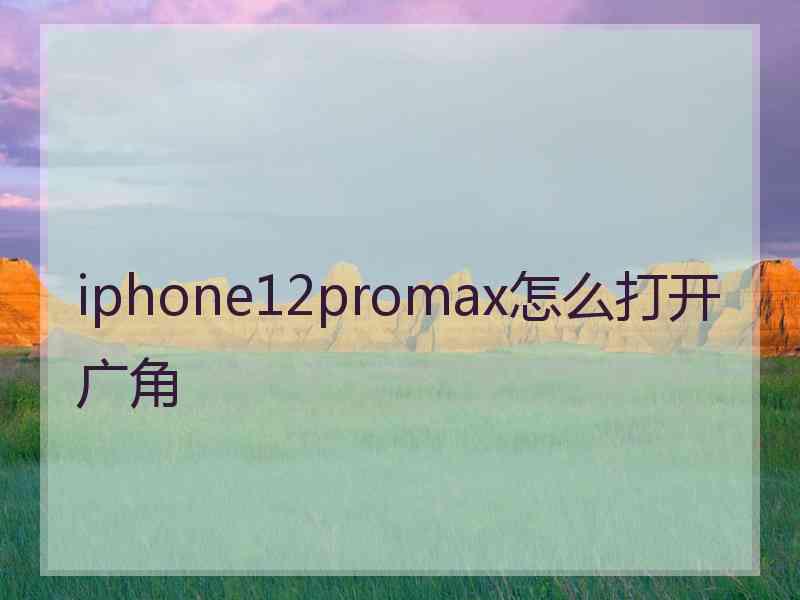 iphone12promax怎么打开广角