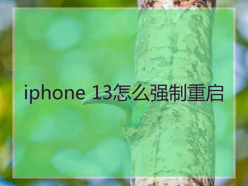 iphone 13怎么强制重启