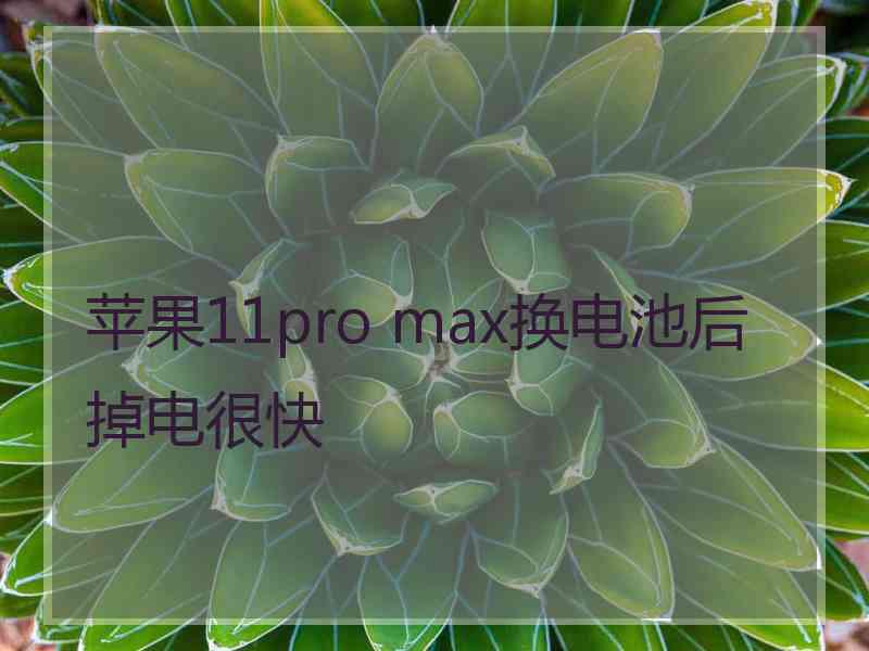 苹果11pro max换电池后掉电很快