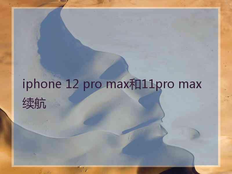 iphone 12 pro max和11pro max续航