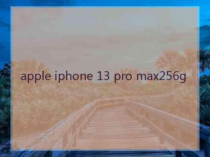 apple iphone 13 pro max256g