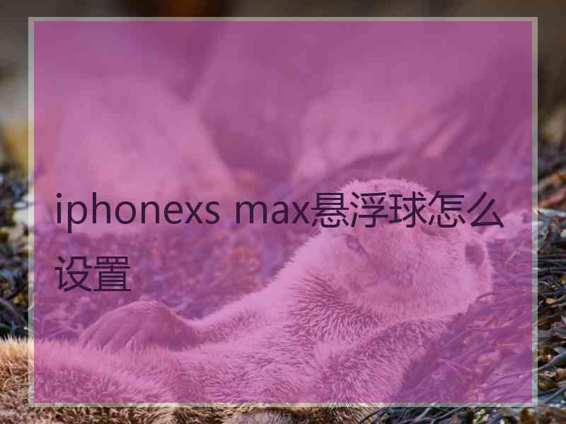 iphonexs max悬浮球怎么设置