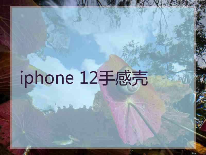 iphone 12手感壳