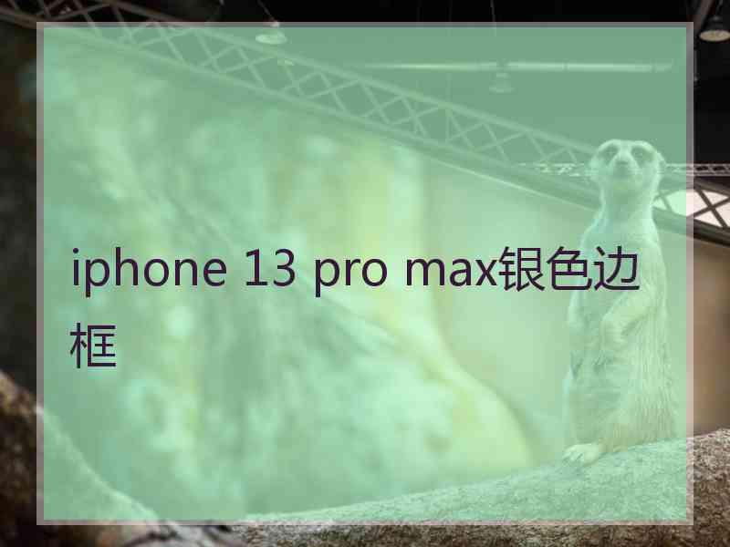 iphone 13 pro max银色边框