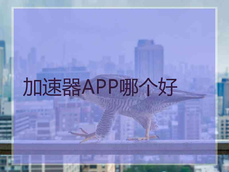 加速器APP哪个好