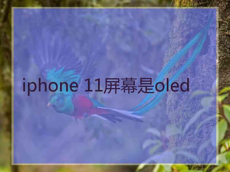 iphone 11屏幕是oled