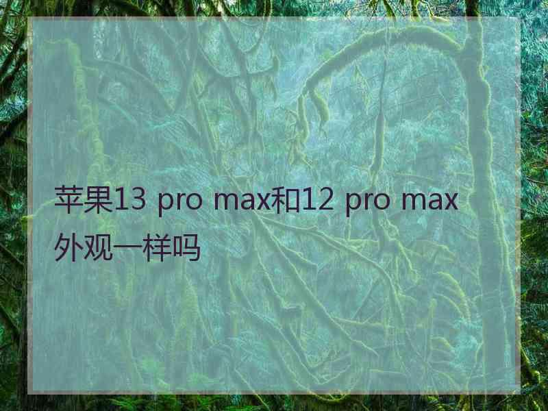 苹果13 pro max和12 pro max外观一样吗