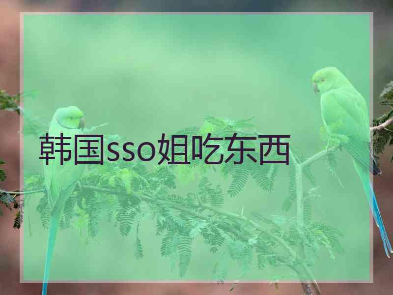 韩国sso姐吃东西