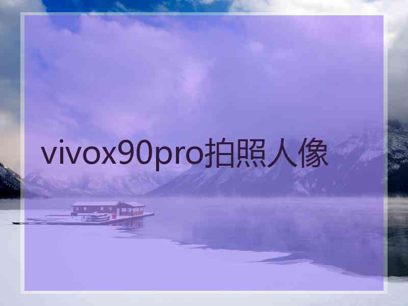 vivox90pro拍照人像