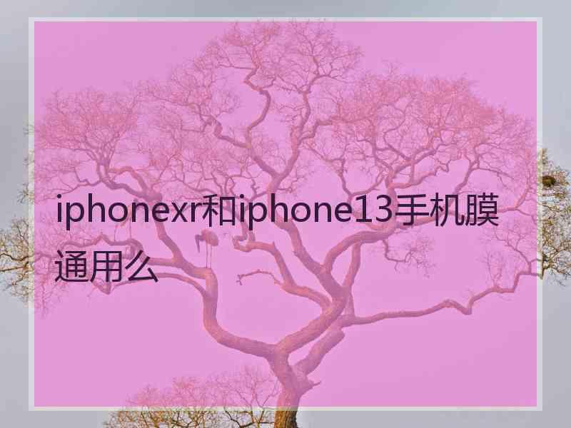 iphonexr和iphone13手机膜通用么