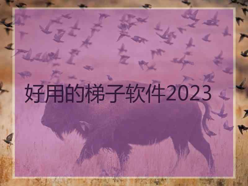 好用的梯子软件2023