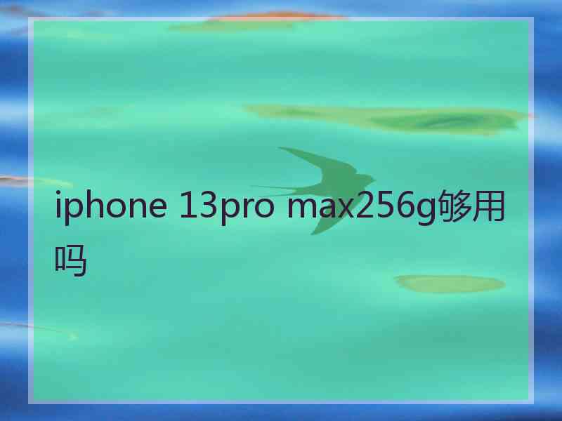 iphone 13pro max256g够用吗