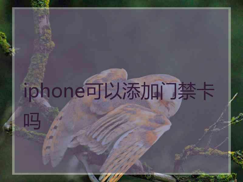 iphone可以添加门禁卡吗