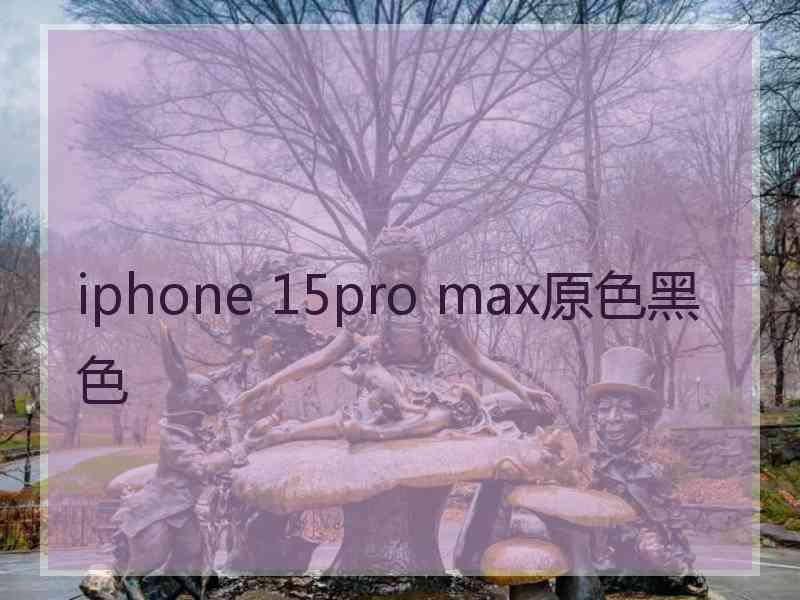 iphone 15pro max原色黑色