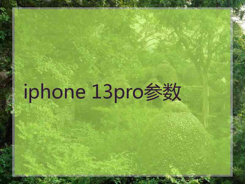 iphone 13pro参数