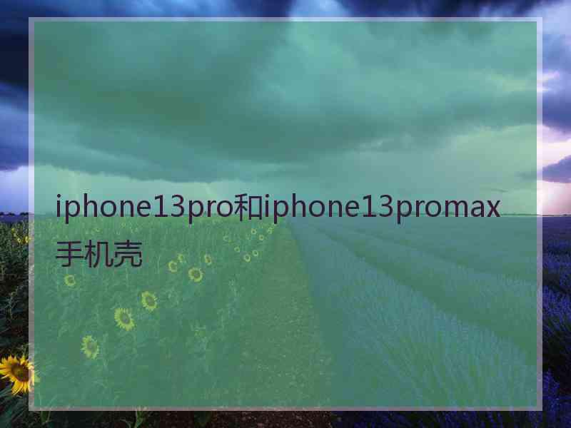 iphone13pro和iphone13promax手机壳