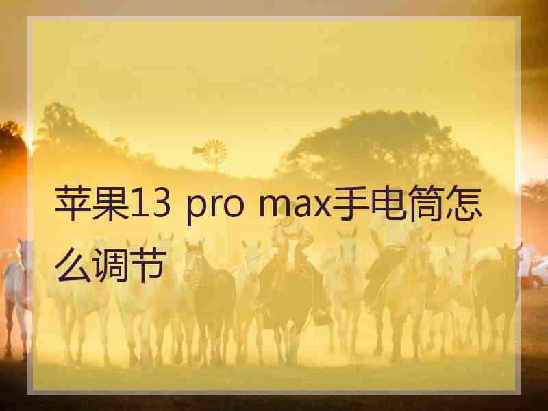 苹果13 pro max手电筒怎么调节